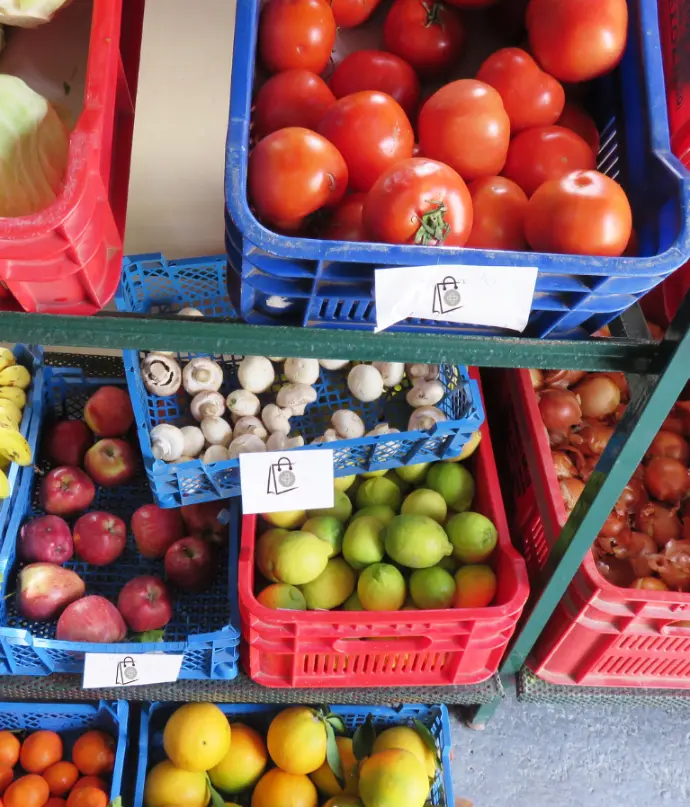 Emprendedora usando sistema Odoo para emitir boletas electrónicas sin costo.